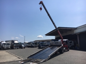 Ranger Safety Loader (With 4 Steps Of Cranes)_2