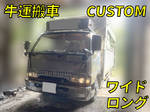 Canter Cattle Transport Truck