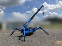 TADANO Others Crawler Crane TM-25Z-1-99  _8