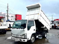 ISUZU Elf Deep Dump TDG-NKS85AD 2013 41,670km_1