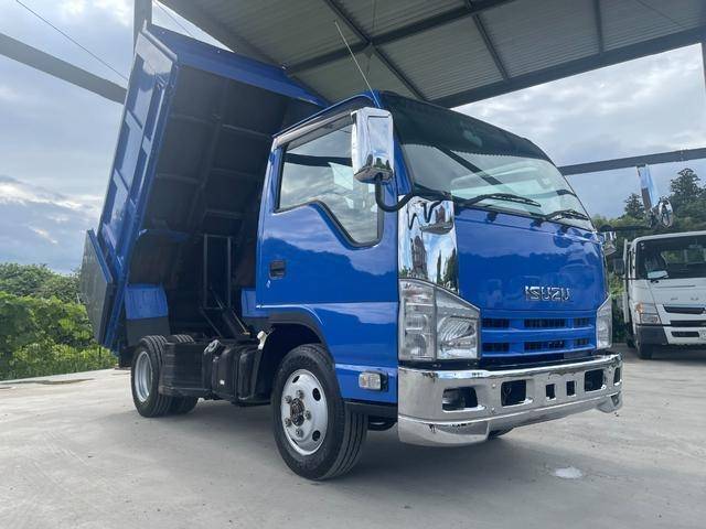ISUZU Elf Deep Dump BDG-NKS85AN 2010 31,000km_1