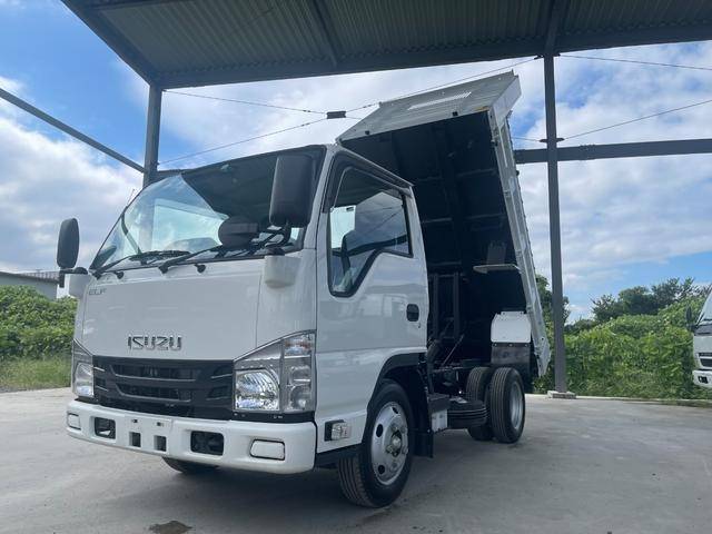 ISUZU Elf Dump 2RG-NJR88AN 2023 10,000km