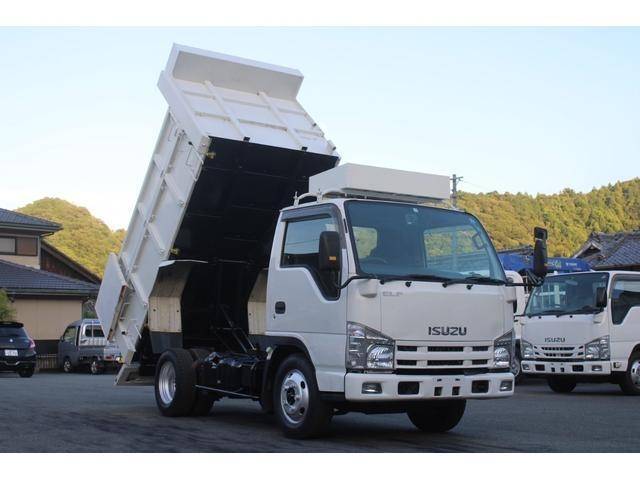 ISUZU Elf Deep Dump BDG-NKR85AN 2007 254,000km