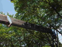 MITSUBISHI FUSO Fighter Self Loader (With 4 Steps Of Cranes) KK-FK71GG 1999 420,594km_19