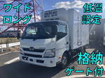 Dutro Refrigerator & Freezer Truck