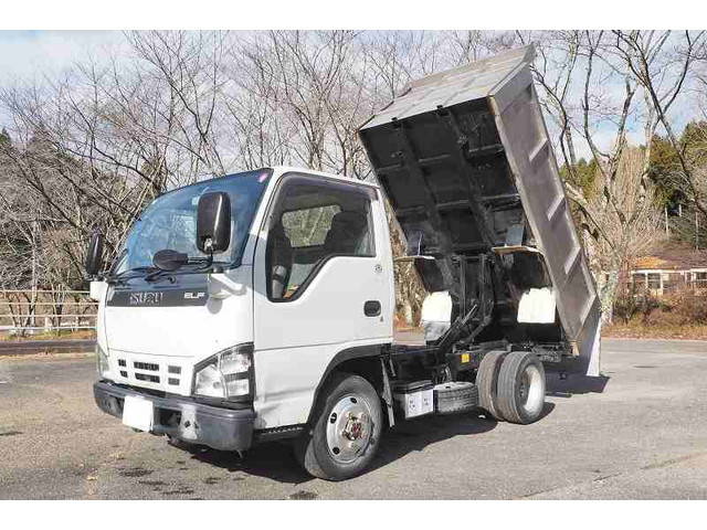 ISUZU Elf Deep Dump PB-NKS81AN 2004 77,043km