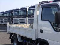 ISUZU Elf Dump 2RG-NJR88AN 2022 48,000km_5