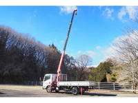 NISSAN Atlas Truck (With 4 Steps Of Cranes) BKG-APR85AR 2010 132,147km_12