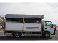 ISUZU Elf Cattle Transport Truck PB-NPR81AN 2005 _16