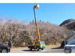 Canter Cherry Picker