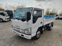 ISUZU Elf Dump BDG-NKR85AD 2009 119,000km_1