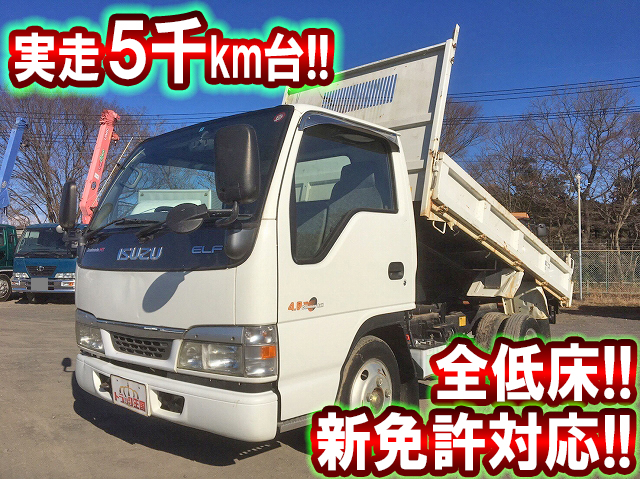 ISUZU Elf Dump KR-NKR81ED 2004 5,172km