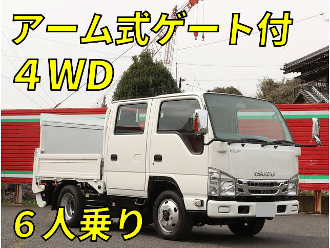ISUZU Elf Double Cab TPG-NJS85A 2017 66,781km_1