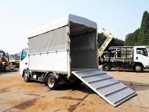 Canter Cattle Transport Truck_2