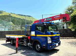Forward Truck (With 5 Steps Of Cranes)