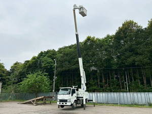 Elf Cherry Picker_1