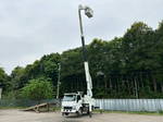 Elf Cherry Picker
