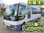 Rosa Micro Bus