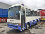 Rainbow Micro Bus