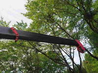 HINO Ranger Truck (With 4 Steps Of Cranes) TKG-FD7JLAA 2012 128,368km_15