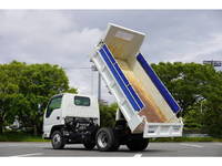ISUZU Elf Dump 2PG-NKS88AN 2020 4,009km_15