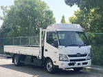 Dutro Flat Body