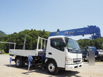 Canter Truck (With 6 Steps Of Cranes)