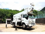 Elf Cherry Picker
