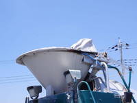 ISUZU Elf Mixer Truck 2RG-NKR88N 2023 57,000km_11