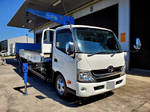 Dutro Truck (With Crane)