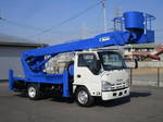 Elf Cherry Picker