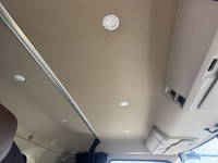 HINO Profia Container Carrier Truck 2DG-FW1AHG 2020 637,800km_13
