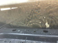 HINO Profia Deep Dump QKG-FS1EWEA 2015 363,800km_22