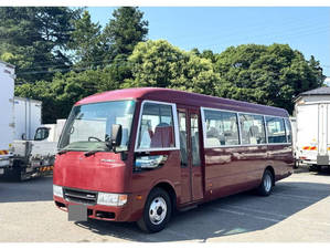 Rosa Micro Bus_1