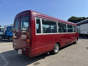 Rosa Micro Bus_2