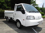 Bongo Flat Body