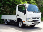Others Flat Body