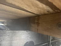 ISUZU Forward Truck (With 4 Steps Of Cranes) 2PG-FRR90S1 2019 21,662km_37