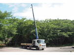 Ranger Truck (With 5 Steps Of Cranes)