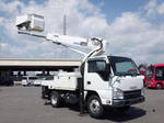 Elf Cherry Picker