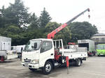 Dutro Truck (With 4 Steps Of Cranes)