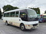 Rosa Micro Bus