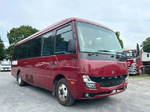 Rosa Micro Bus