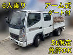 Canter Guts Double Cab