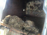 ISUZU Elf Garbage Truck TKG-NMR85AN 2015 102,237km_11