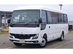 Rosa Micro Bus