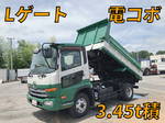 Condor Dump
