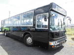 Blue Ribbon Bus
