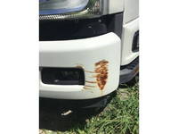 ISUZU Forward Dump 2RG-FRR90S1 2022 23,078km_9