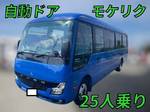 Rosa Micro Bus